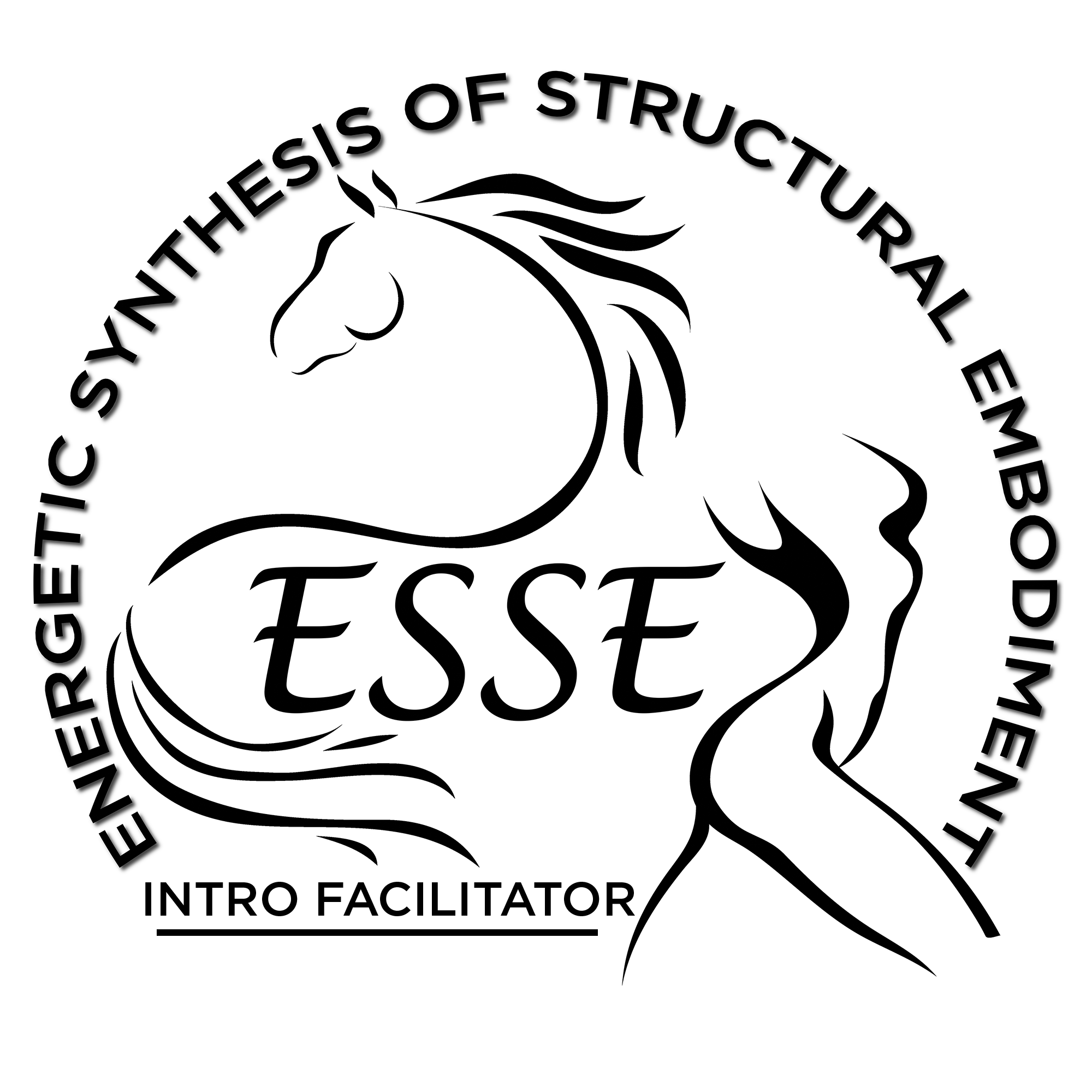 ESSE IntroFacilitator Logo1